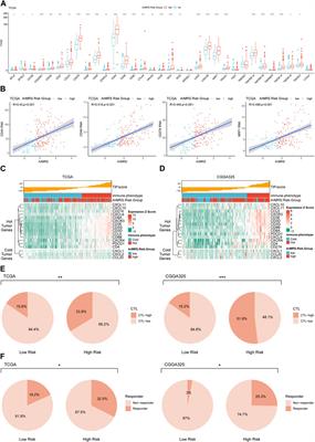 A novel score system based on arginine metabolism-related genes to predict prognosis, characterize immune microenvironment, and forecast response to immunotherapy in IDH-wildtype glioblastoma